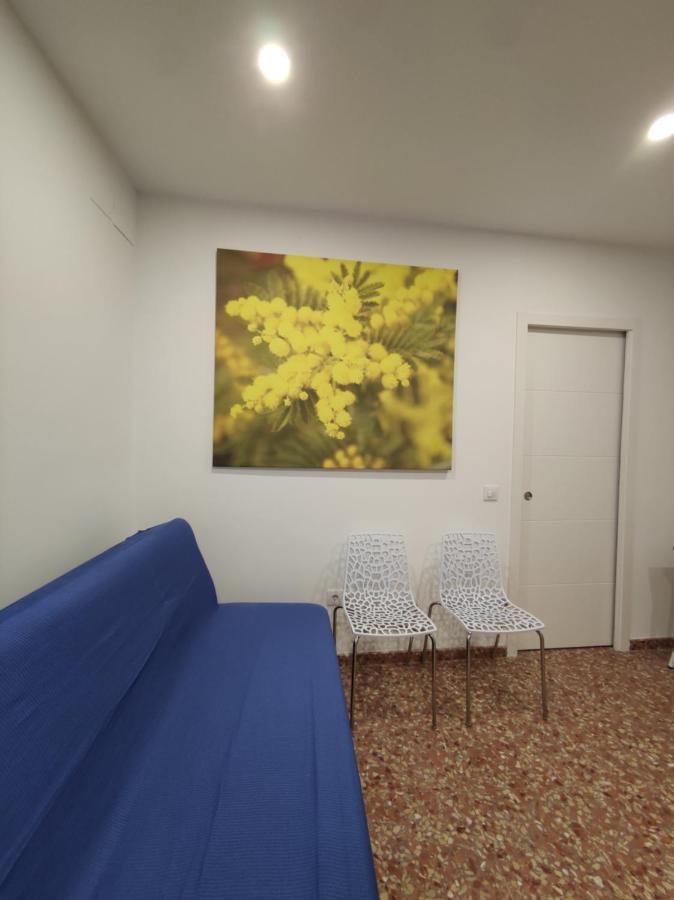 La Casa De La Mimosa Daire Cordoba Dış mekan fotoğraf