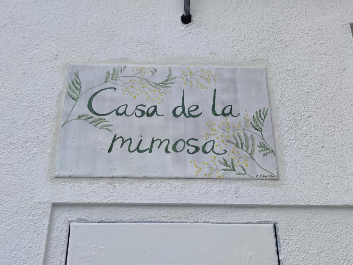 La Casa De La Mimosa Daire Cordoba Dış mekan fotoğraf
