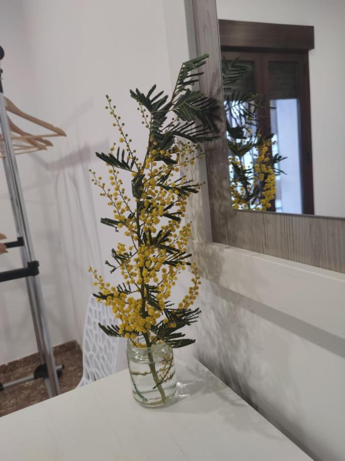 La Casa De La Mimosa Daire Cordoba Dış mekan fotoğraf