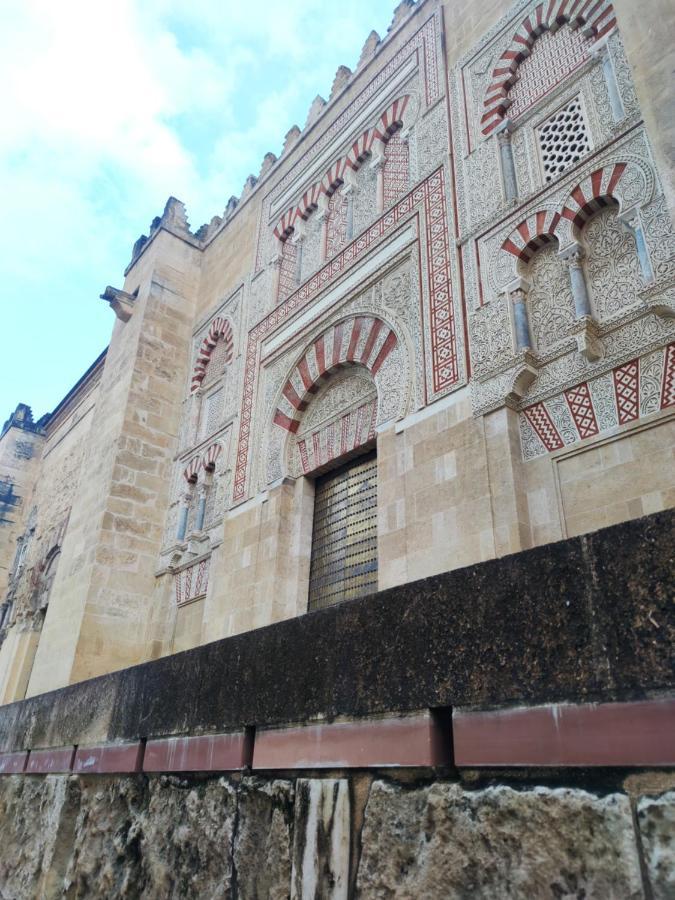 La Casa De La Mimosa Daire Cordoba Dış mekan fotoğraf