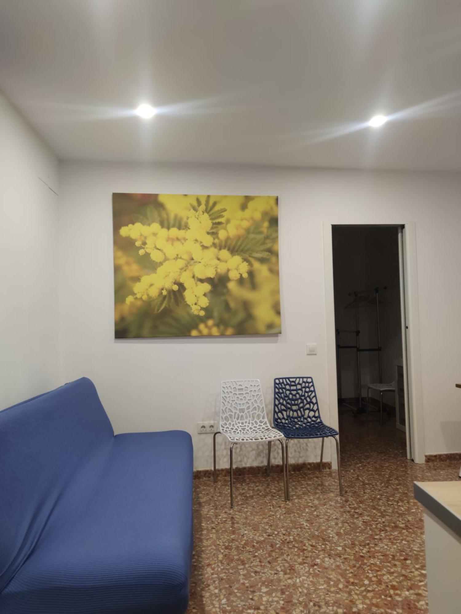 La Casa De La Mimosa Daire Cordoba Dış mekan fotoğraf